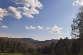 Белокуриха 2 Горная